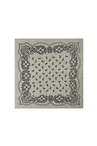 Adelina Paisley Knit Scarf Grey Melange