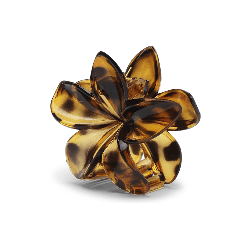 Plumeria Clarity Big Golden Brown | Accessories | Smuk - Dameklær på nett