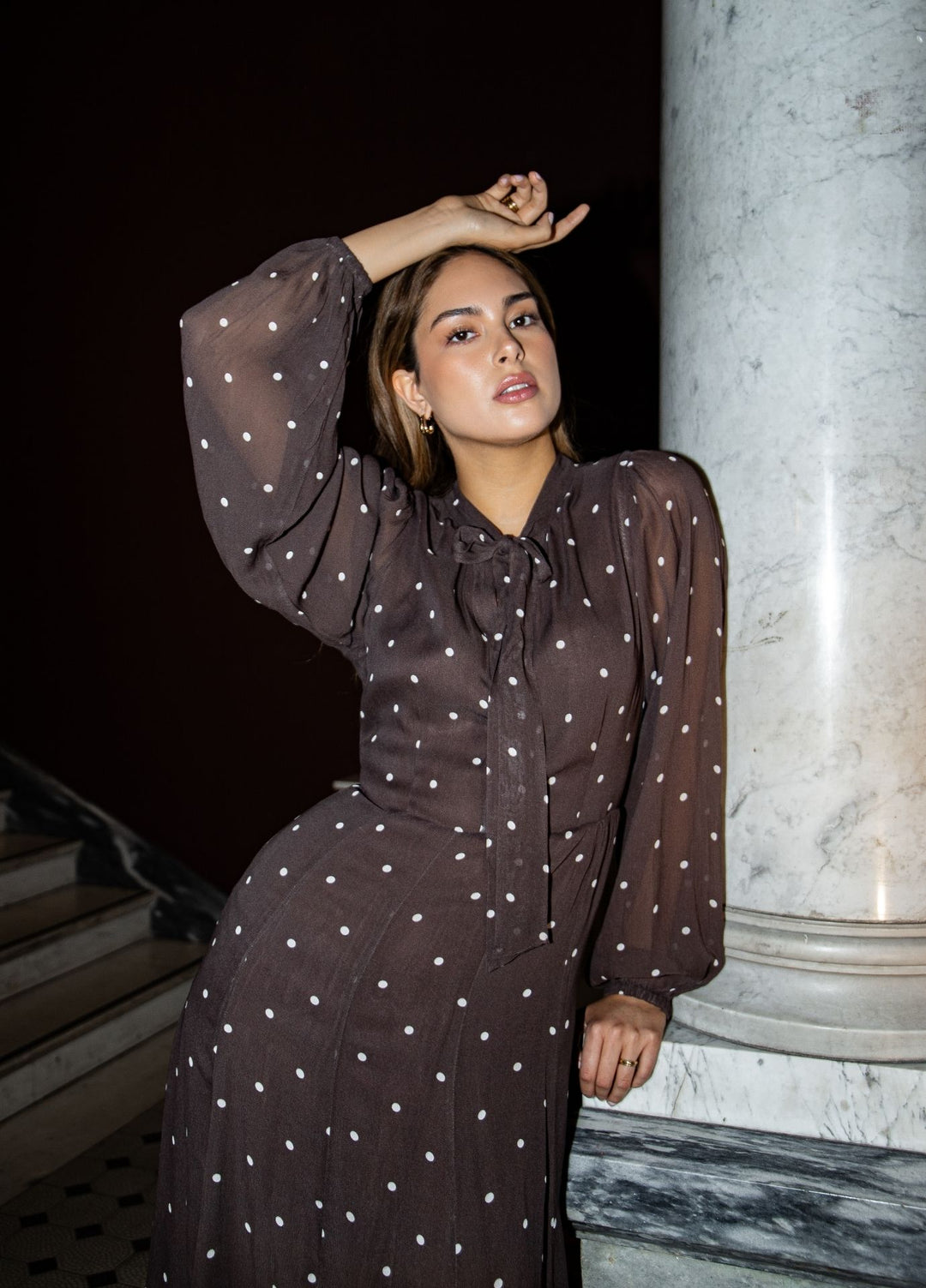 Daniella Dress French Dot