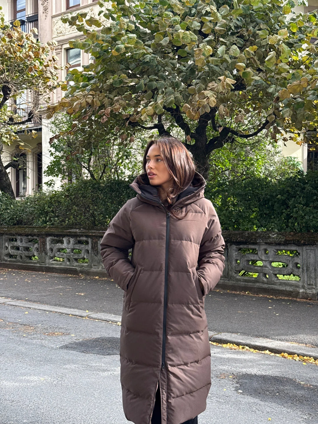 Frostin Jacket Chocolate Brown