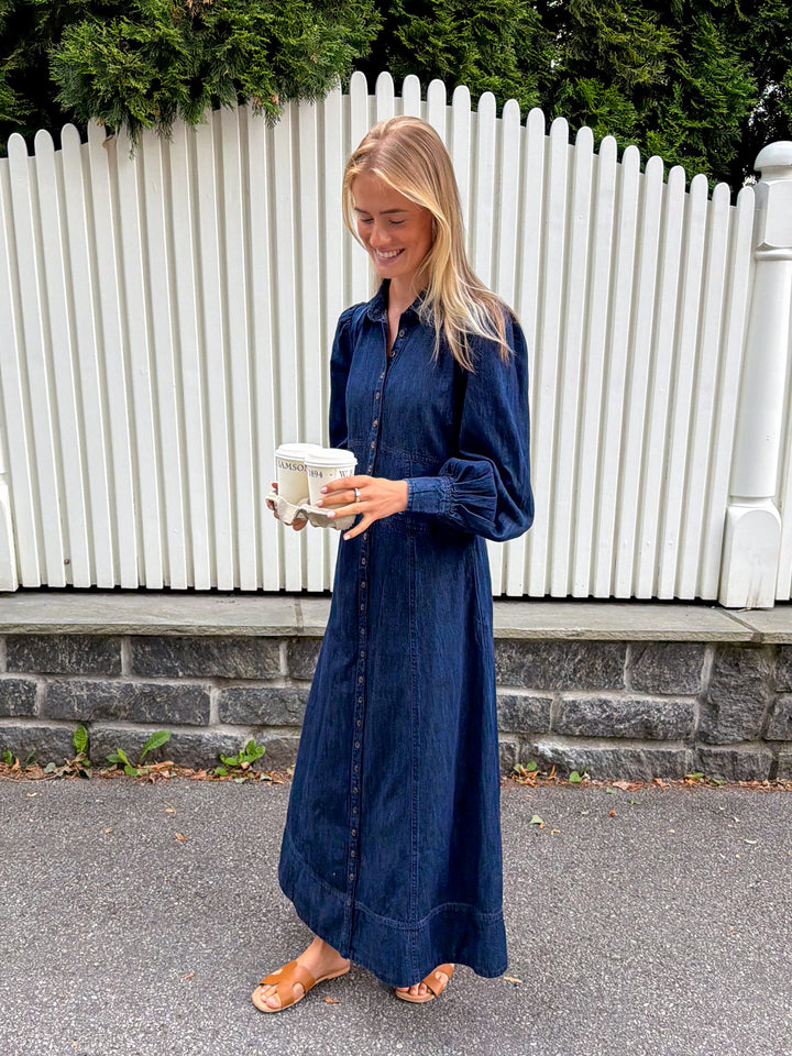 Denim Button-Down Dress Denim Blue