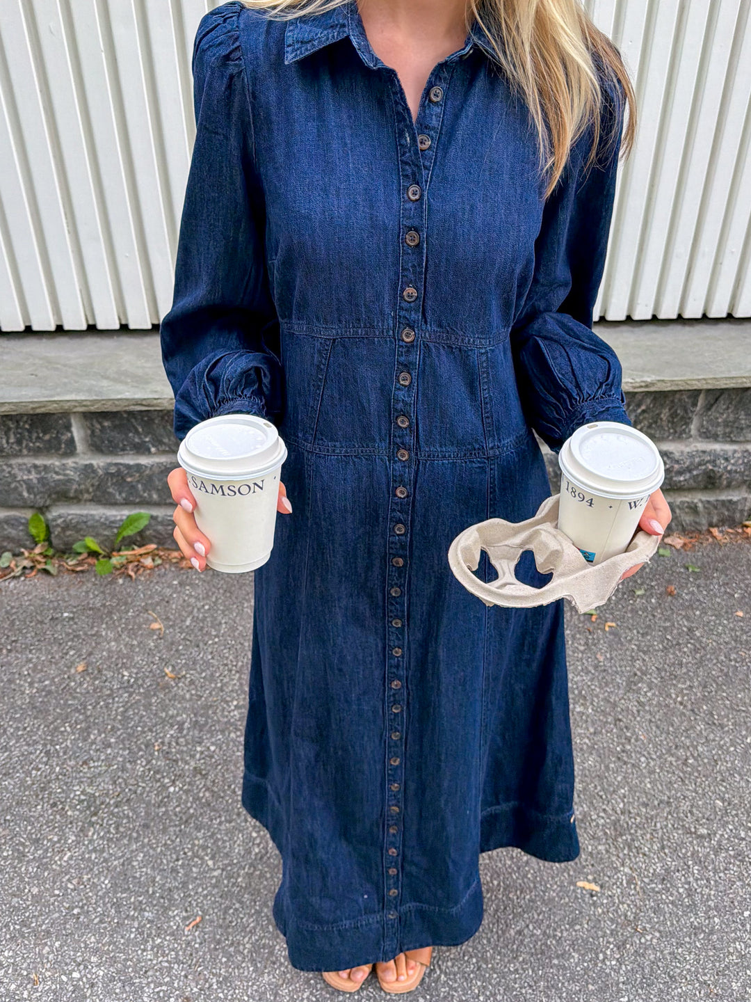 Denim Button-Down Dress Denim Blue