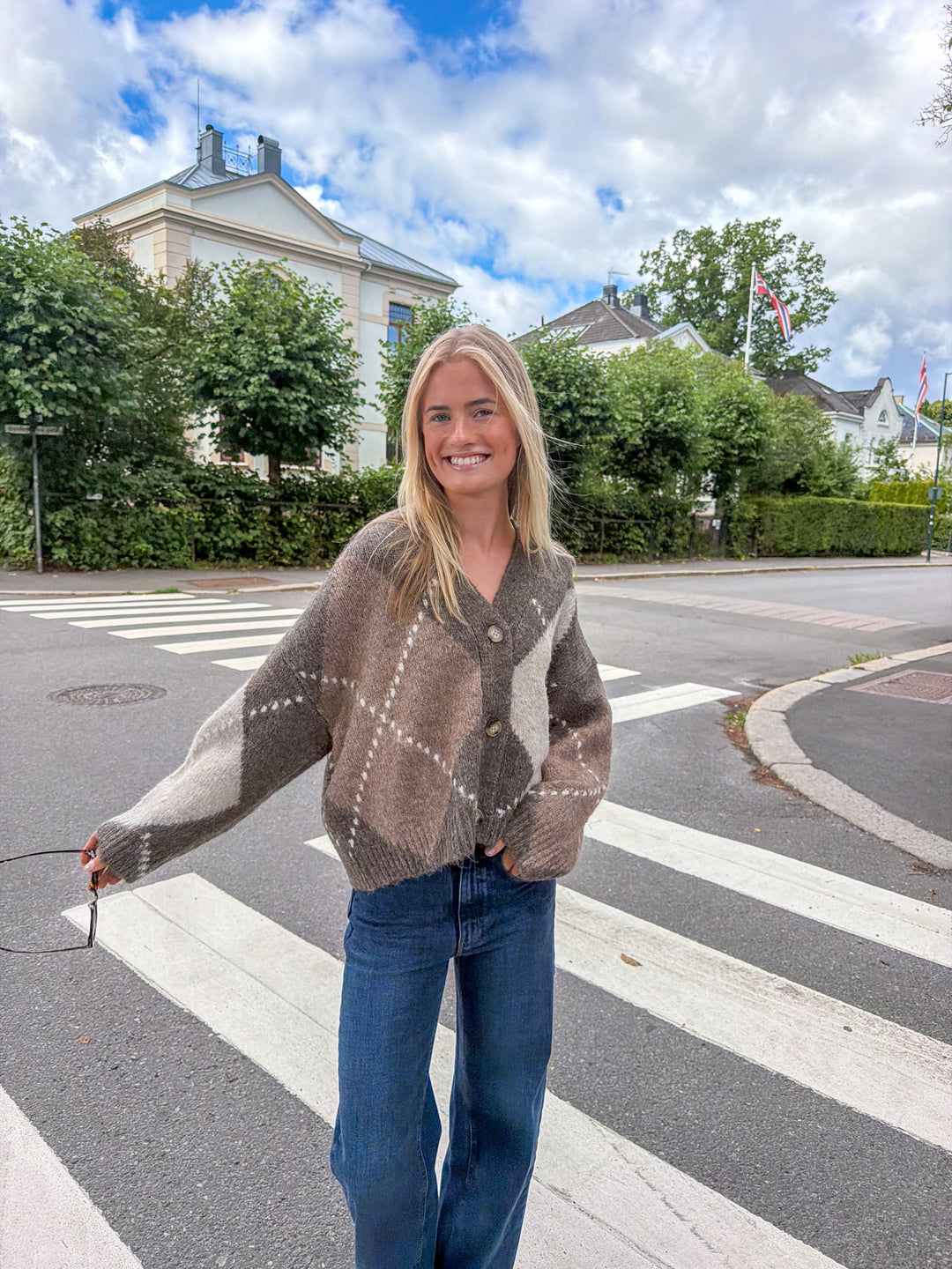 Laiana Knit Cardigan Ash Brown Mix