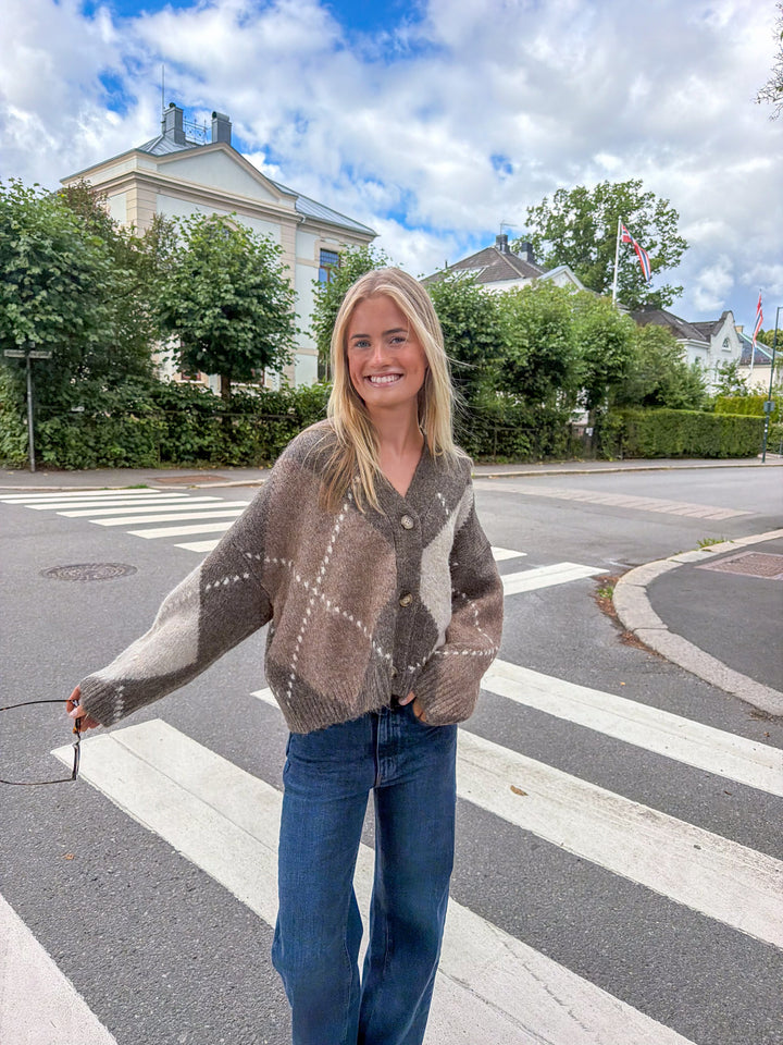Laiana Knit Cardigan Ash Brown Mix