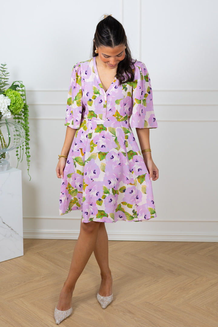 Spring V-Neck Dress Delicate