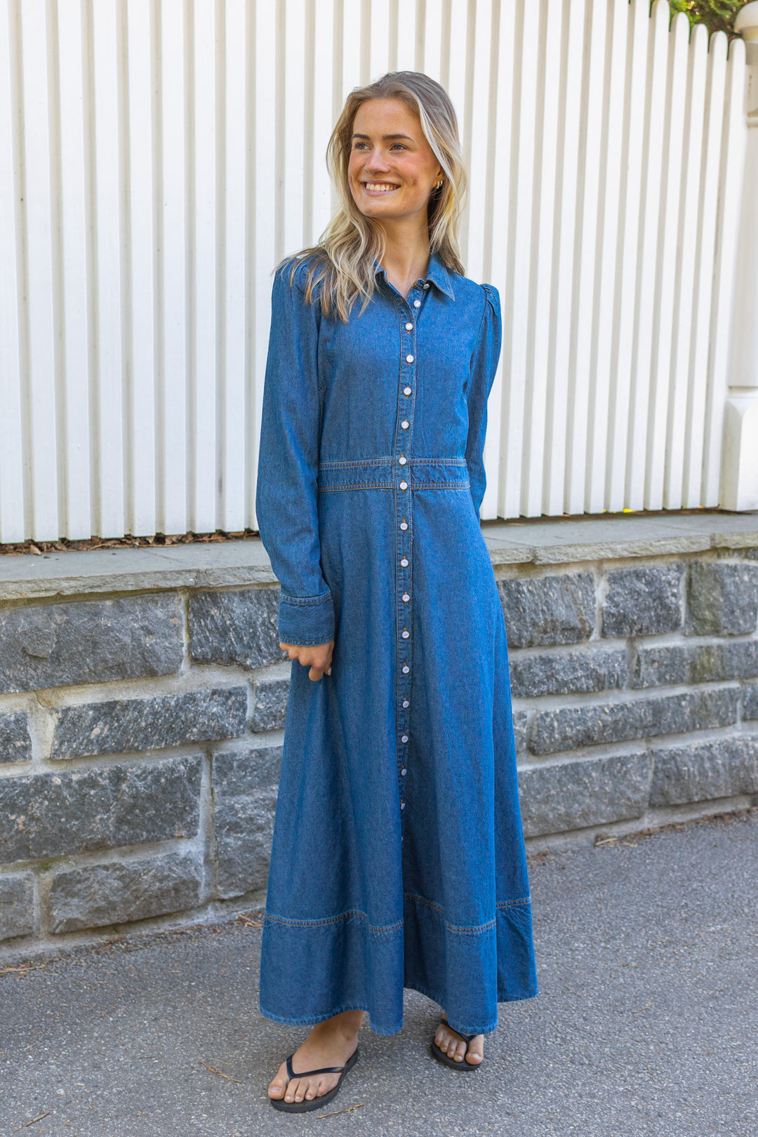 Denim Button-Down Dress French Blue