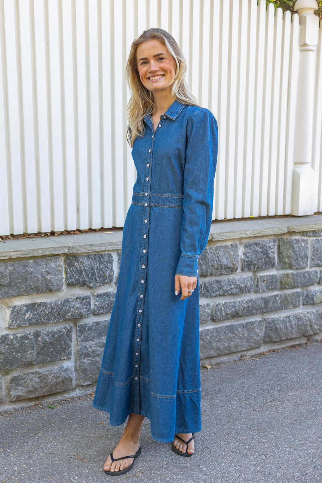 Denim Button-Down Dress French Blue