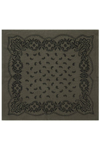 Adelina Paisley Knit Scarf Army