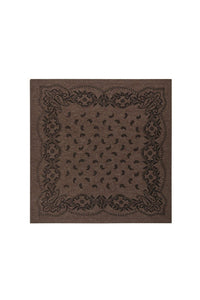 Adelina Paisley Knit Scarf Brown Melange