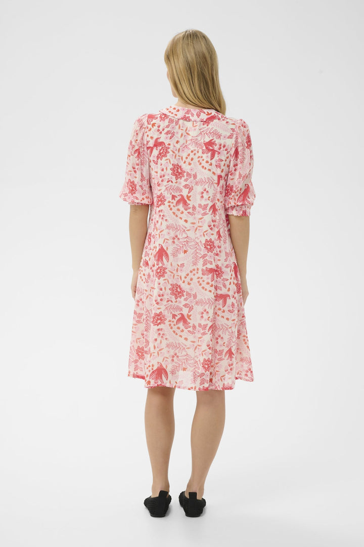 Bitelle Dress Poppy Red Bird Print | Kjoler | Smuk