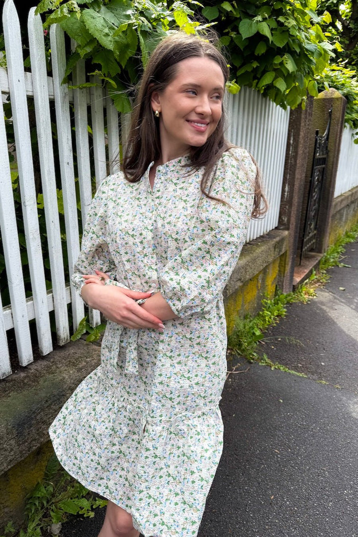 Kate Dress Rose/Blue
