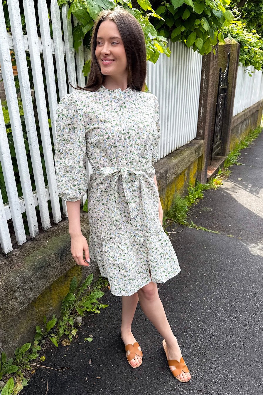 Kate Dress Rose/Blue