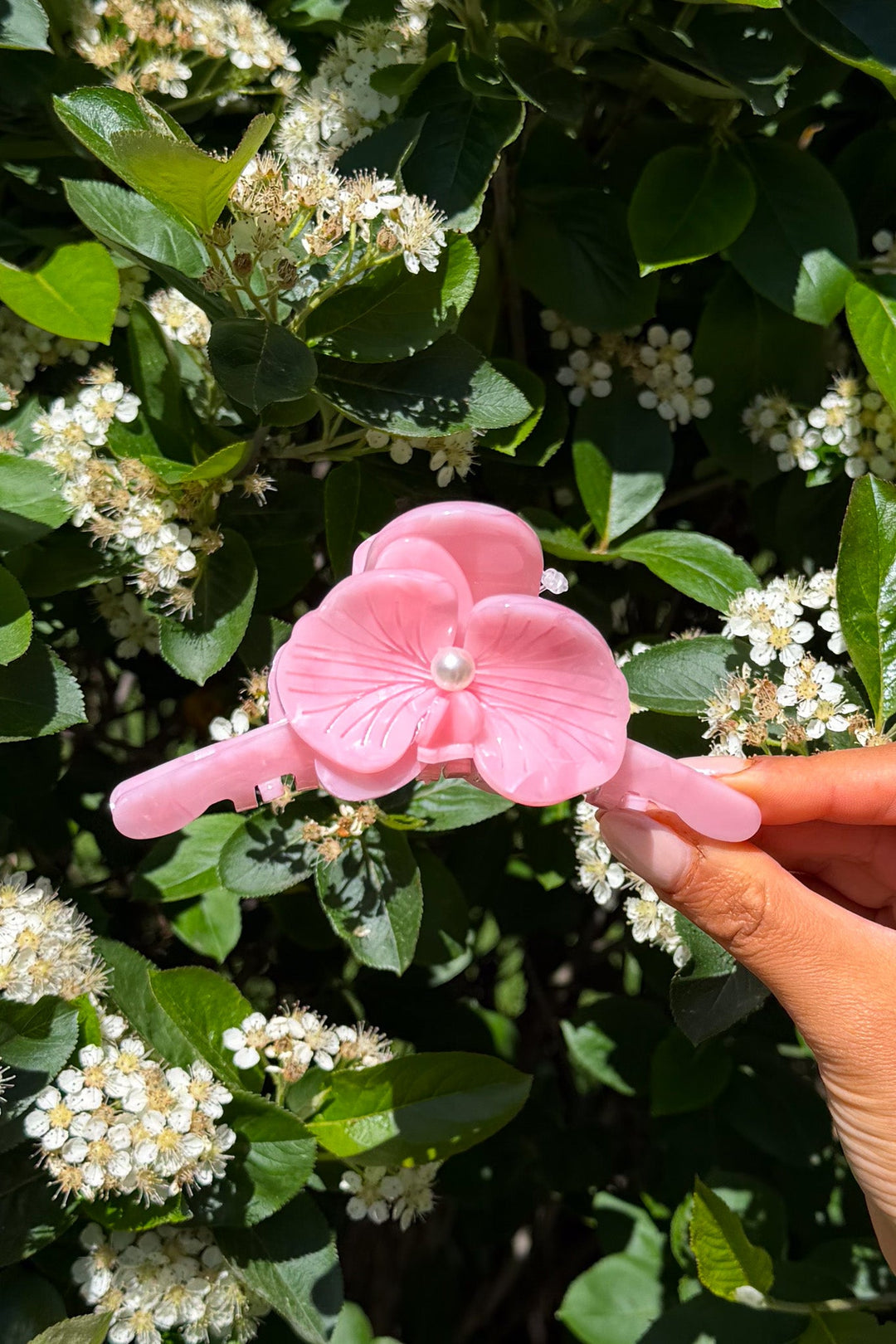 Ordinary Orchid Biggest Pink | Accessories | Smuk