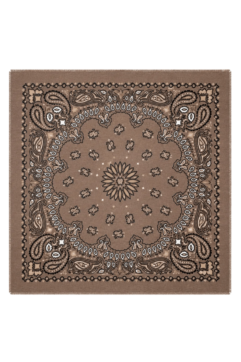 Paisley Scarf Big Brown | Accessories | Smuk