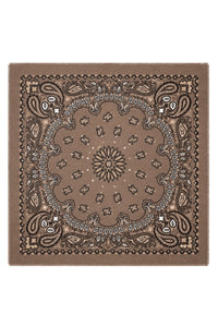 Paisley Scarf Big Brown