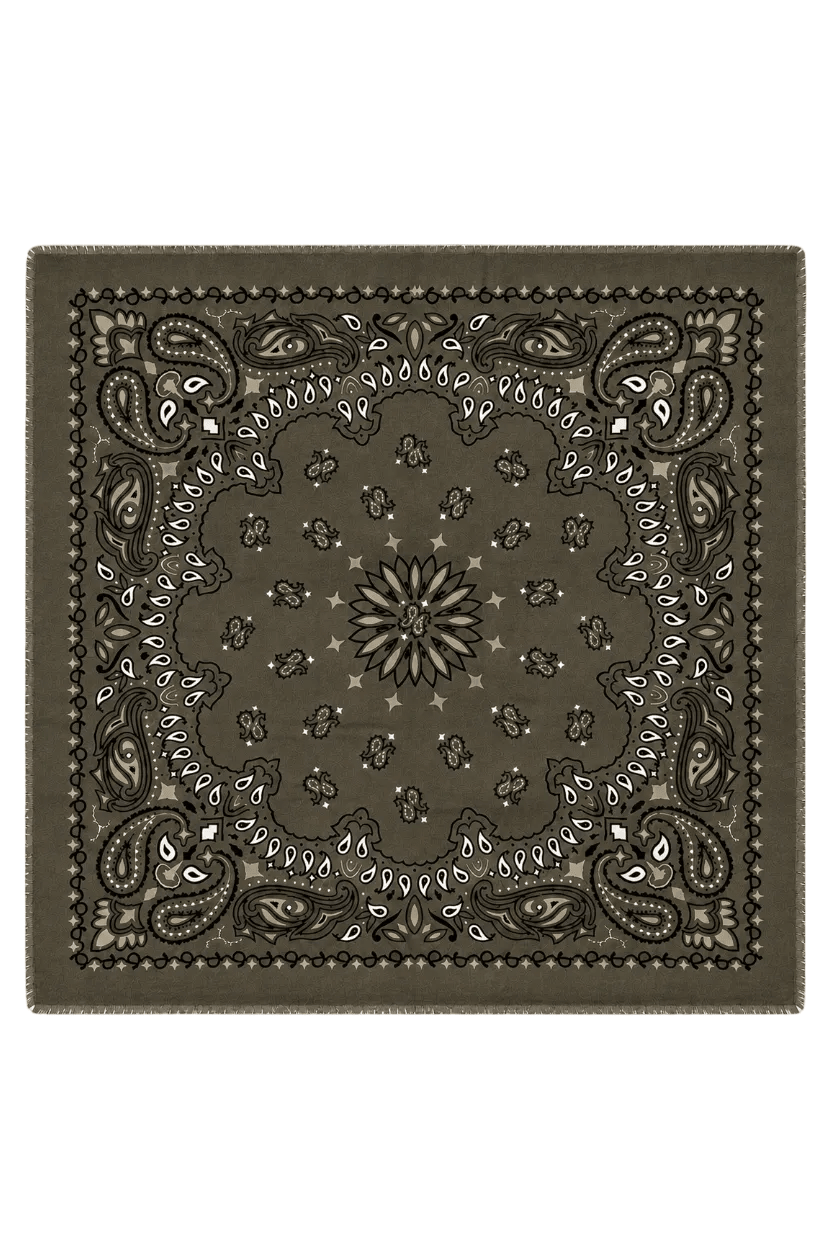 Paisley Scarf Big Khaki | Accessories | Smuk