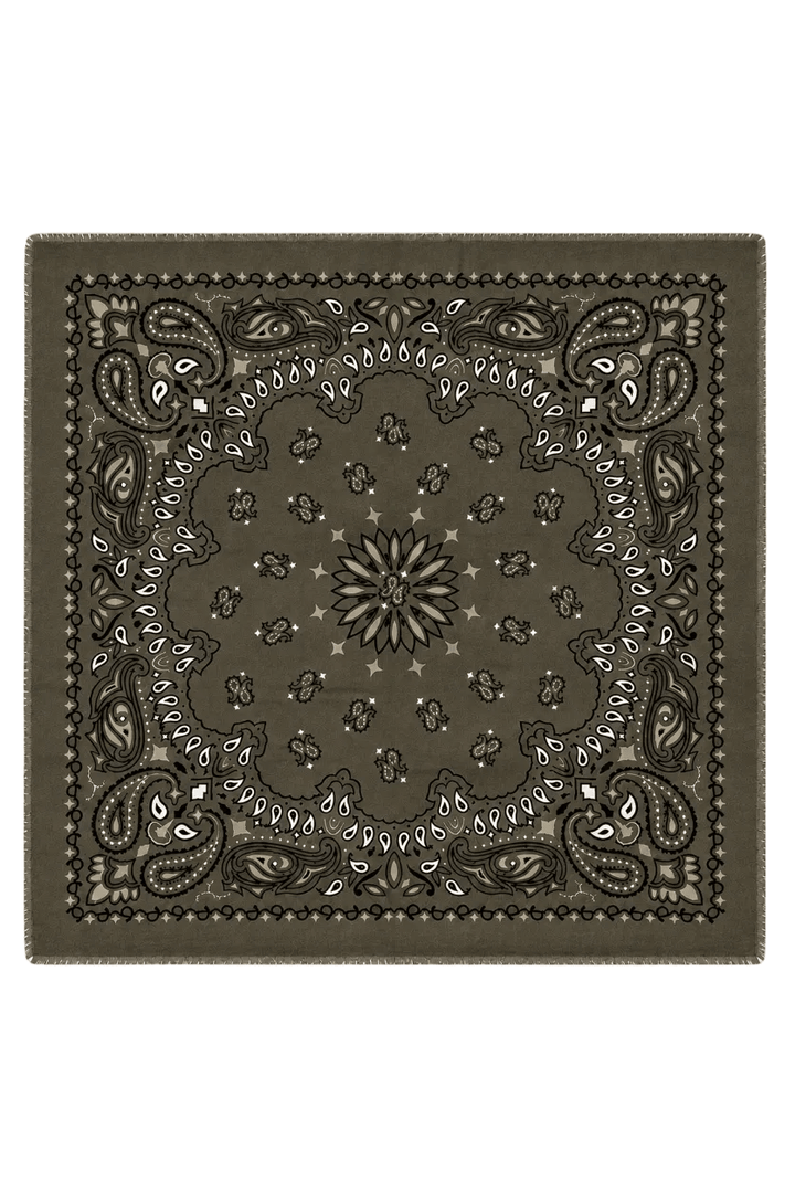 Paisley Scarf Big Khaki | Accessories | Smuk