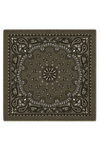 Paisley Scarf Big Khaki