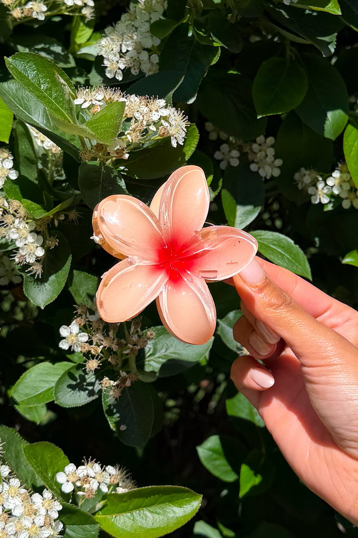 Plumeria Bisou Big Peach | Accessories | Smuk