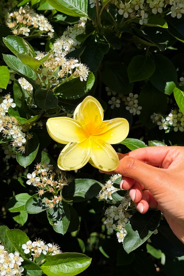 Plumeria Bisou Big Yellow | Accessories | Smuk