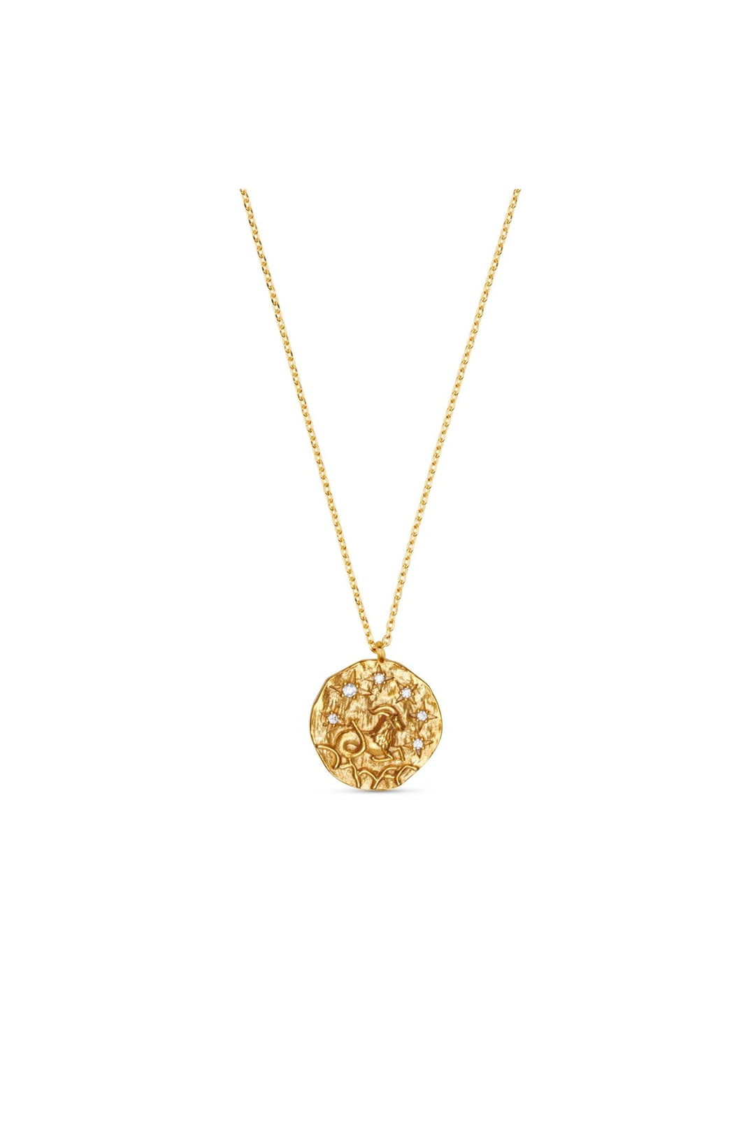 Capricorn Zodiac Necklace Pale Gold | Accessories | Smuk - Dameklær på nett