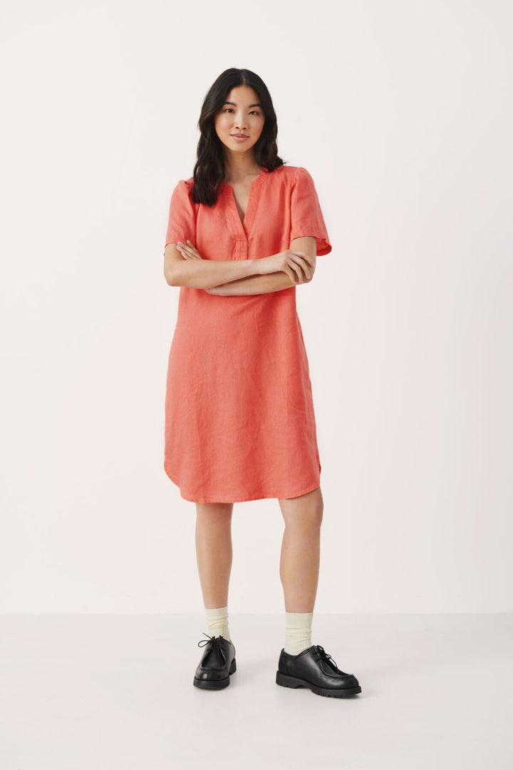 Porcelain Rose Aminasepw Dress | Kjoler | Smuk - Dameklær på nett
